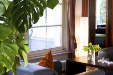 lobby plants