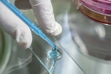 pipette