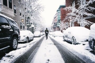 prepare for winter