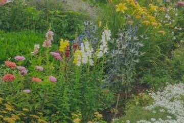 new england garden