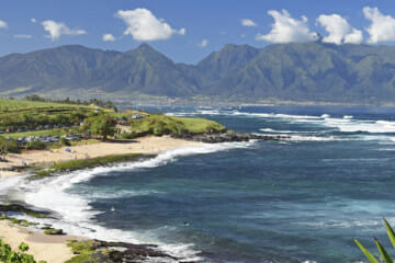 narpm maui