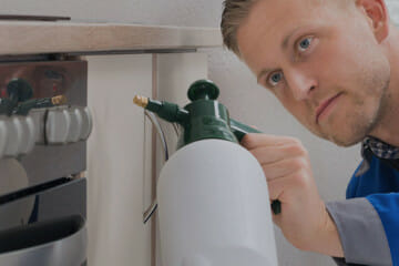 bed bug exterminator