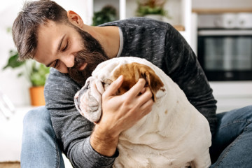 screening pets